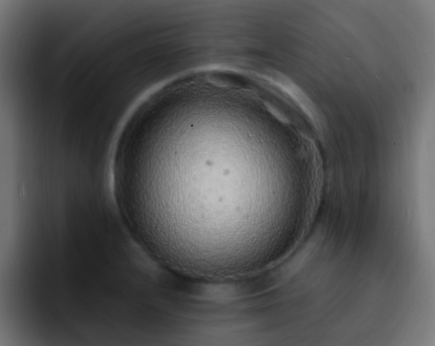 X0000093161232200710031440