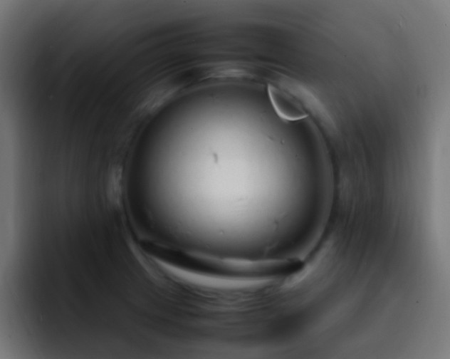 X0000093161233200710031440