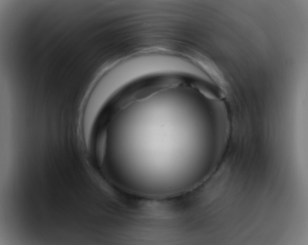 X0000093161234200710031440