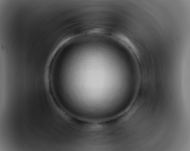 X0000093161235200710031440