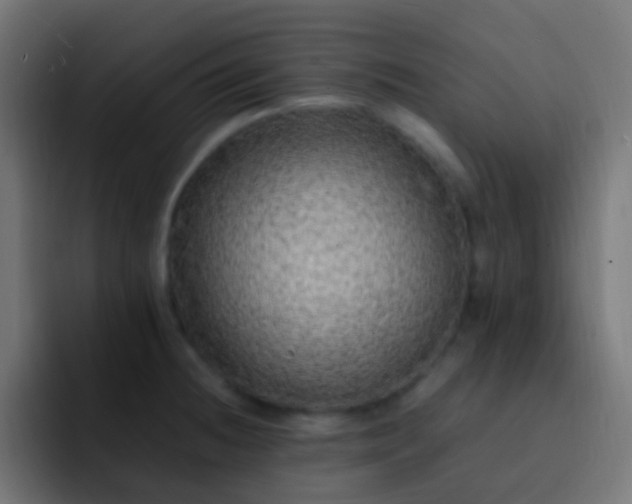 X0000093161236200710031440
