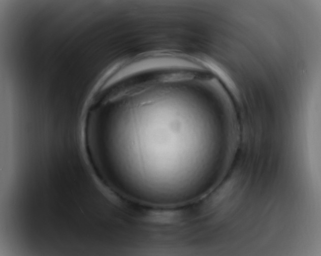 X0000093161237200710031440