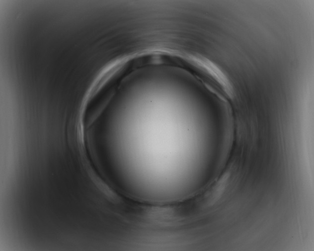X0000093161238200710031440