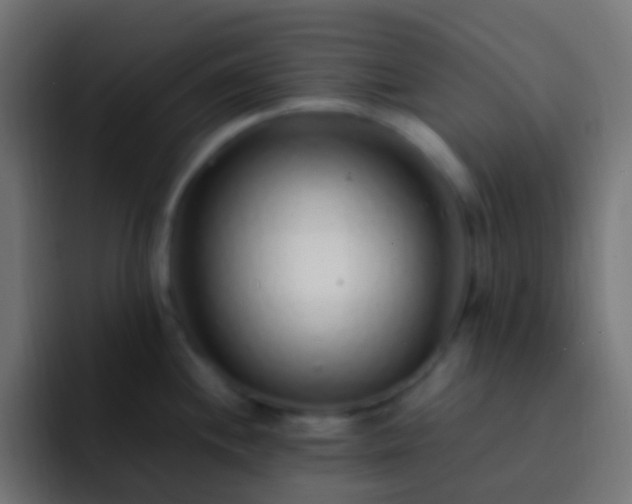 X0000093161244200710031440