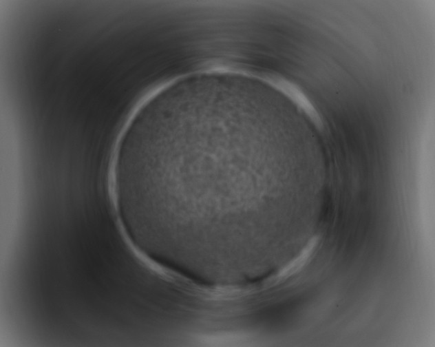 X0000093161247200710031440