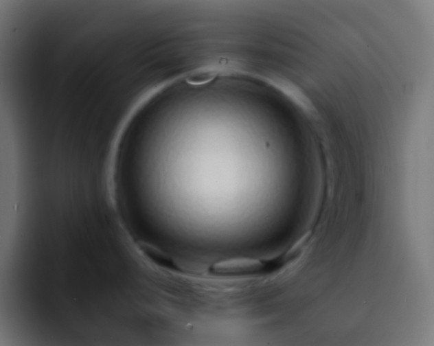 X0000093161248200710031440