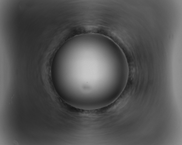 X0000093161249200710031439