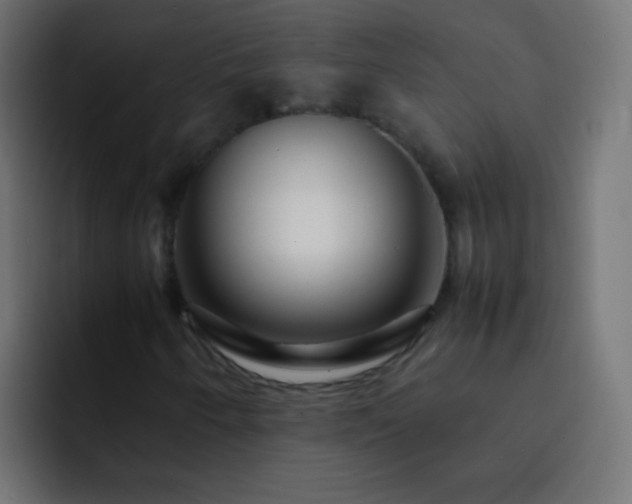 X0000093161250200710031439