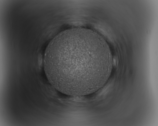 X0000093161251200710031439