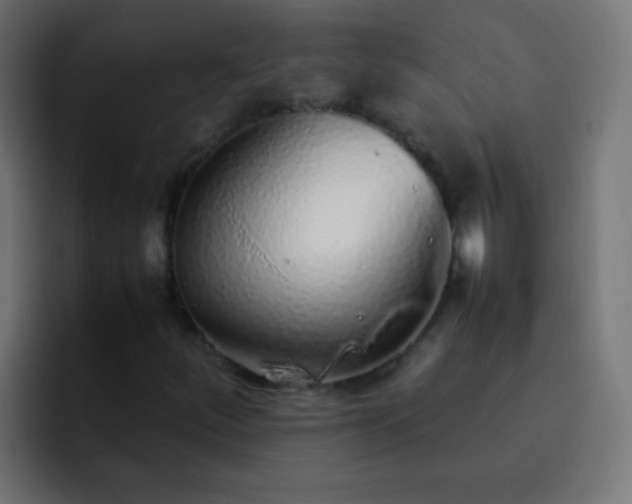 X0000093161252200710031439