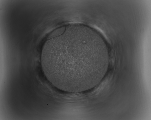 X0000093161255200710031439