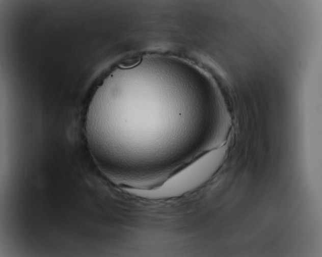 X0000093161256200710031439