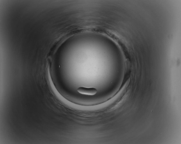 X0000093161257200710031439