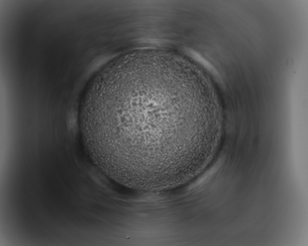 X0000093161259200710031439