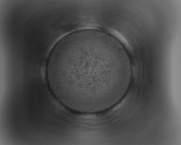X0000093161260200710031439