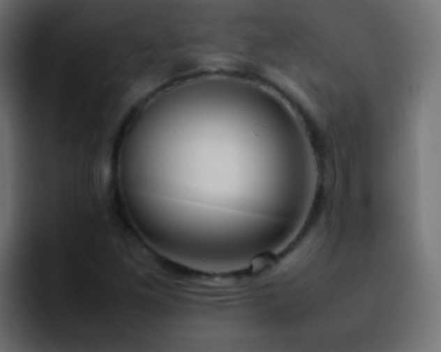 X0000093161261200710031439