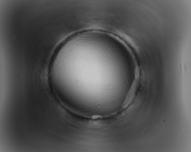 X0000093161264200710031439