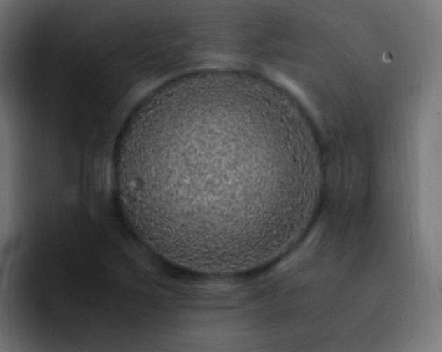 X0000093161267200710031439