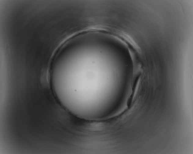 X0000093161268200710031439