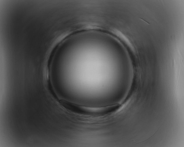 X0000093161269200710031439