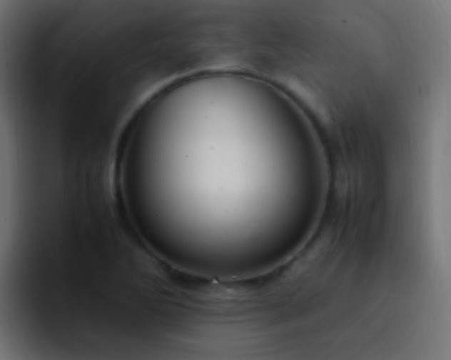X0000093161270200710031439