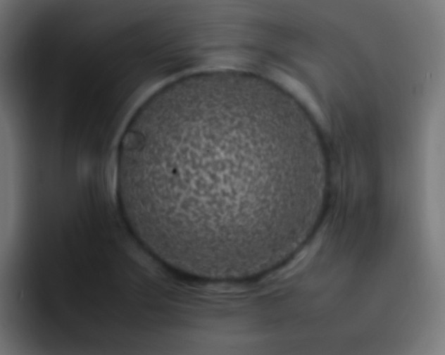 X0000093161275200710031439