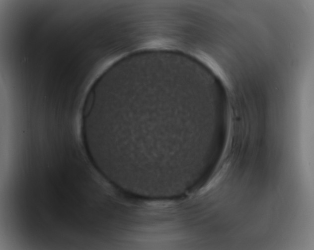 X0000093161277200710031439