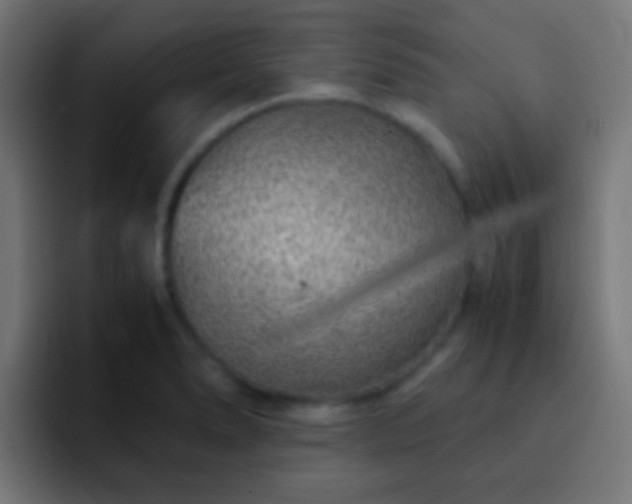 X0000093161278200710031439