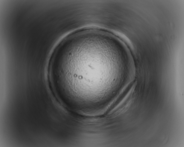 X0000093161279200710031439