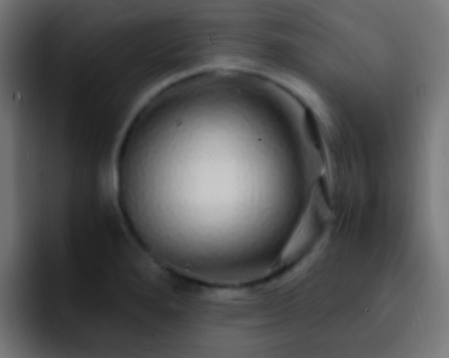 X0000093161280200710031439