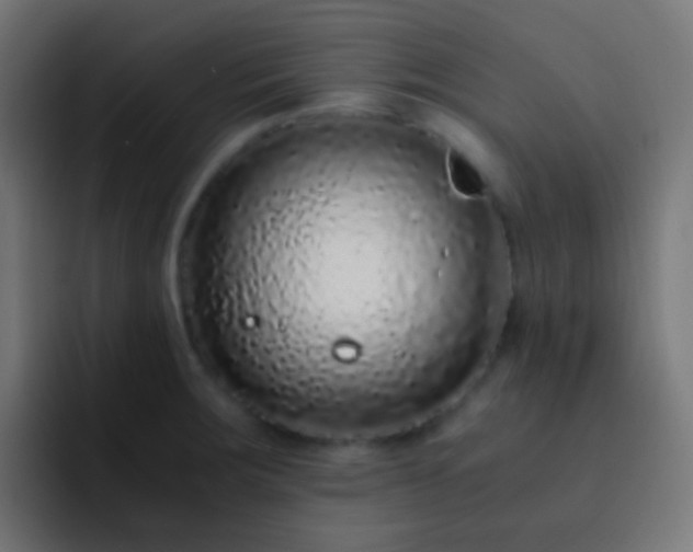X0000093161283200710031439