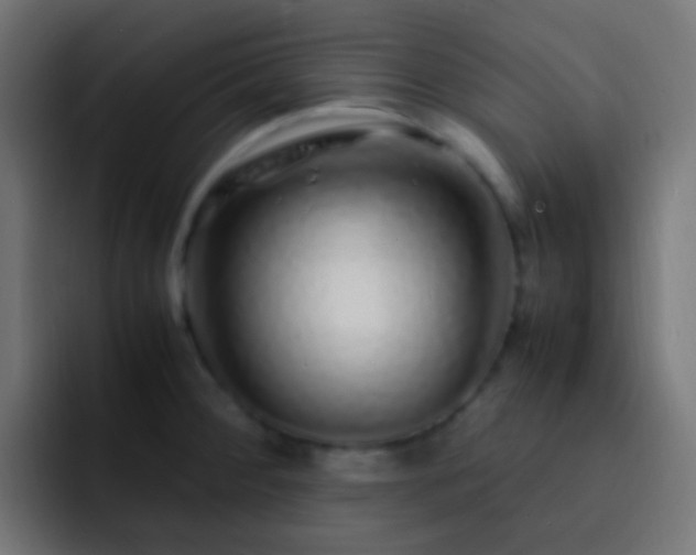 X0000093161284200710031439