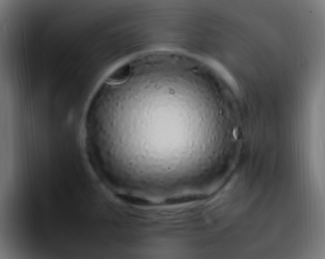 X0000093161287200710031439