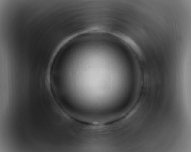 X0000093161288200710031439