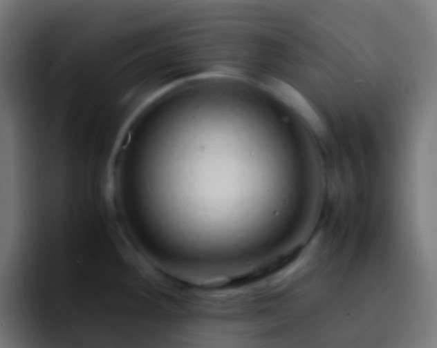 X0000093161292200710031439