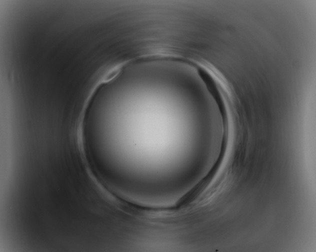 X0000093161293200710031439