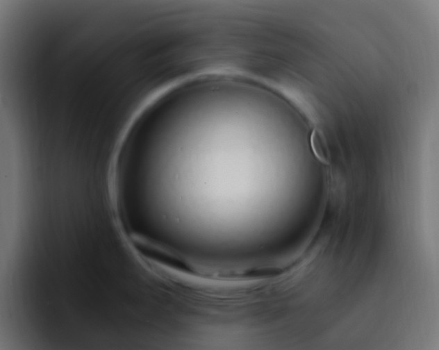 X0000093161295200710031439