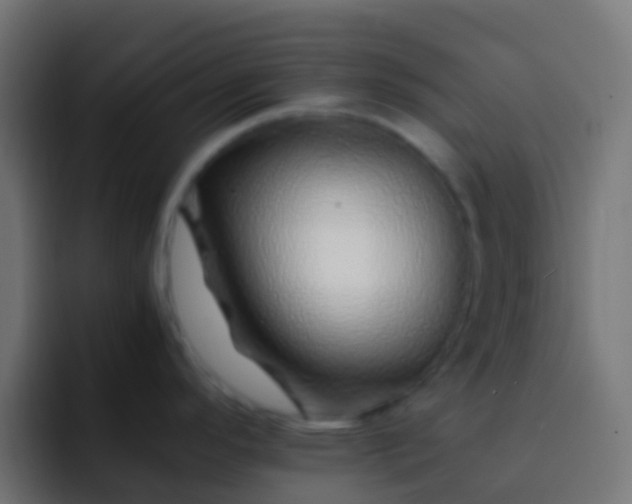 X0000093161296200710031439