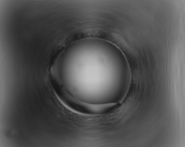X0000093161298200710031438