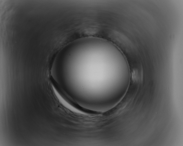 X0000093161299200710031438