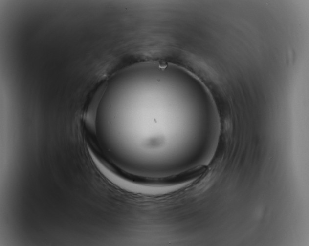 X0000093161300200710031438