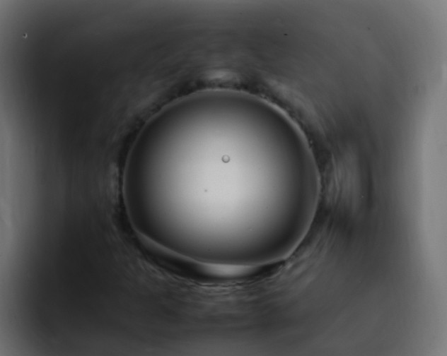 X0000093161301200710031438