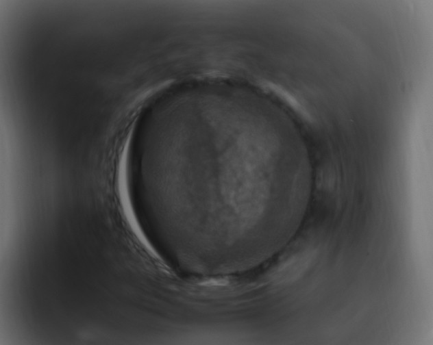 X0000093161303200710031438