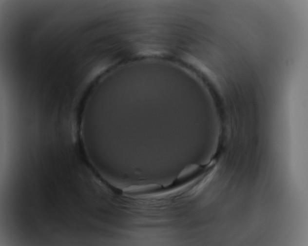 X0000093161306200710031438