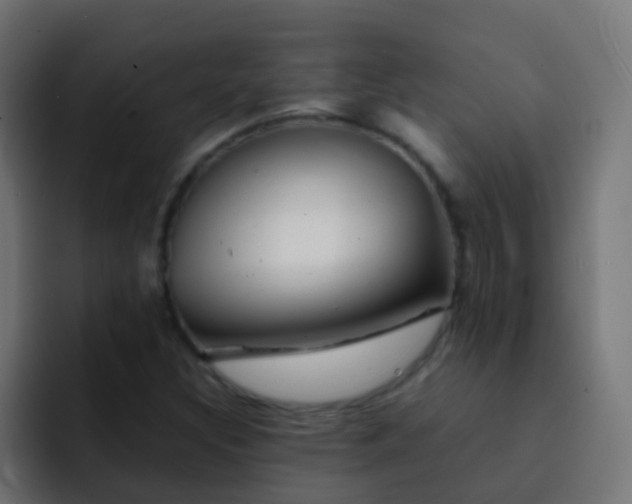X0000093161308200710031438