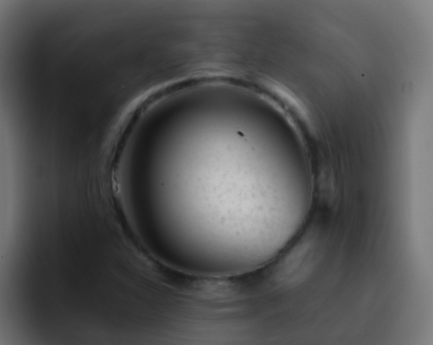 X0000093161310200710031438