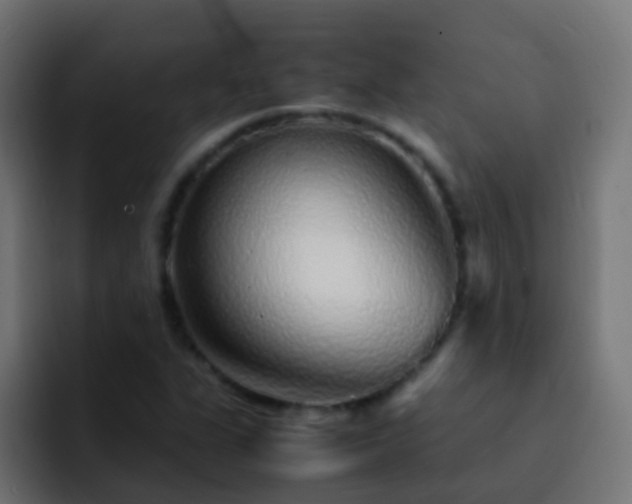 X0000093161311200710031438