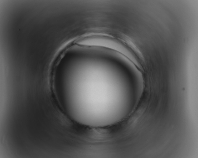 X0000093161312200710031438