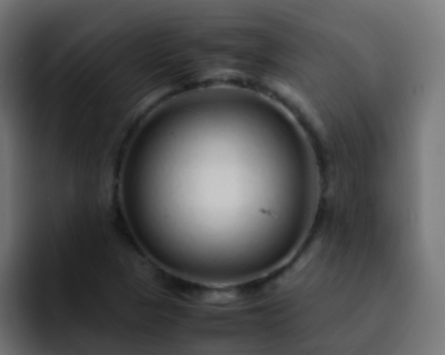 X0000093161313200710031438