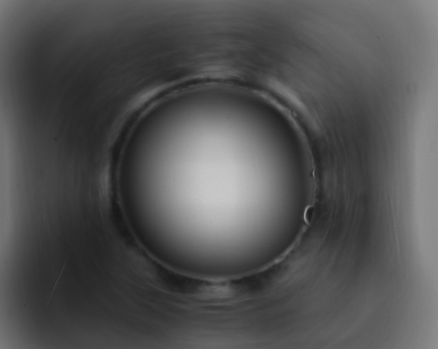 X0000093161315200710031438